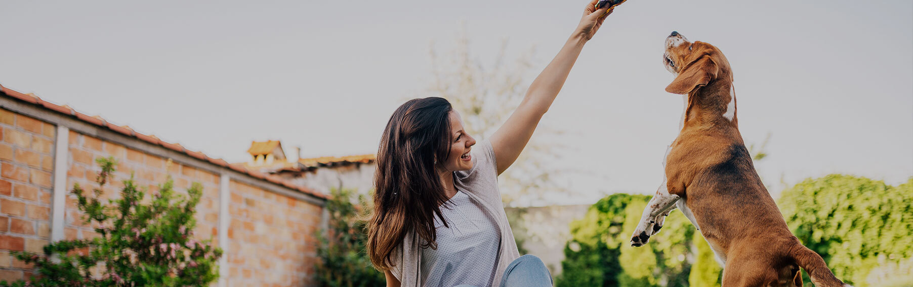 Petland Robinson, Pittsburgh, PA Buy Puppies, Pets & Dog Supplies