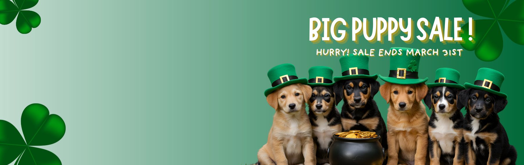 Find Your Perfect Puppy! banner
