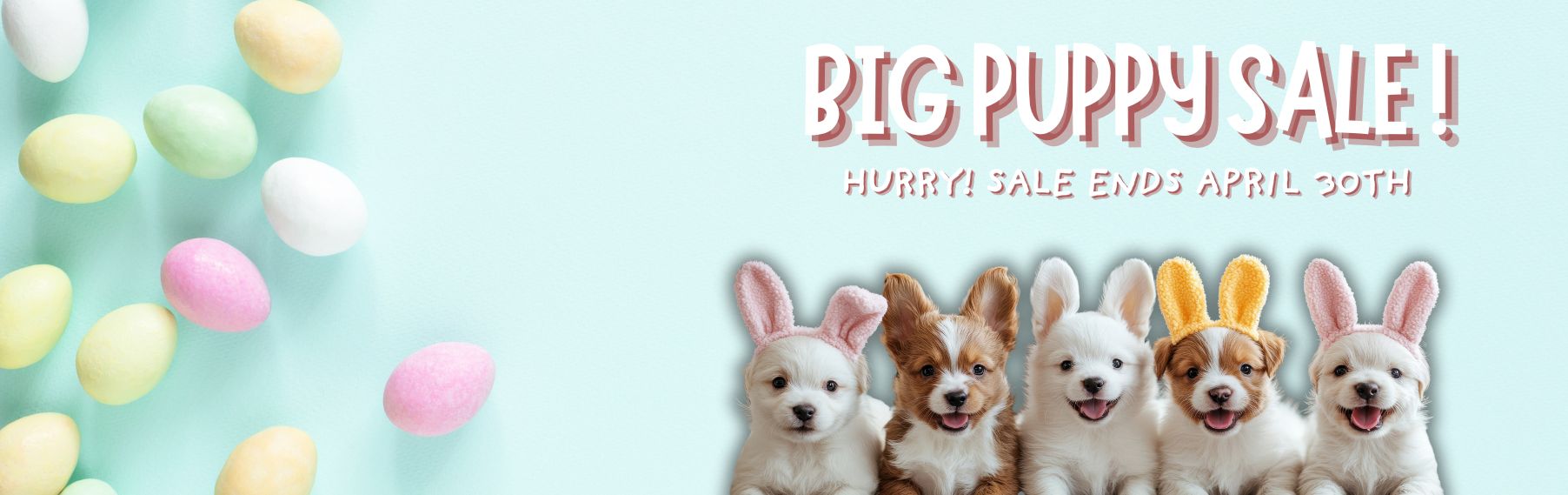 Puppies for Sale in Pittsburgh banner