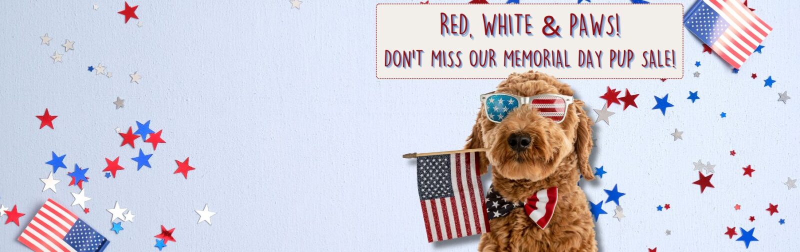 Find Your Perfect Puppy Companion banner