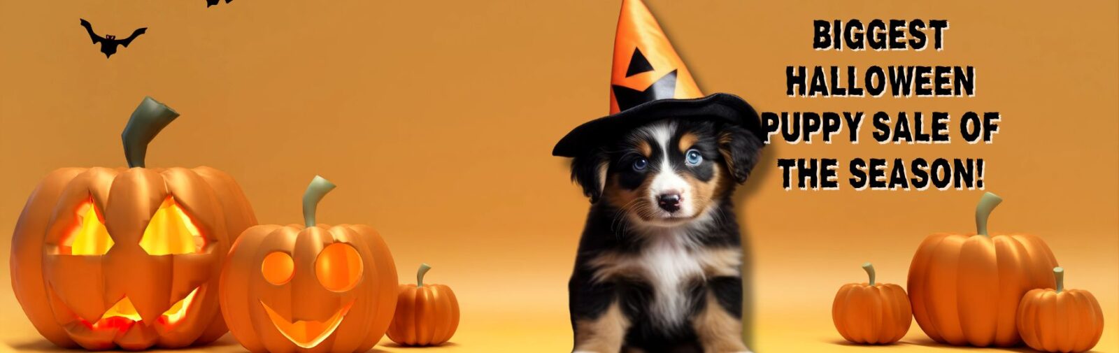 Find Your Perfect Puppy Companion banner