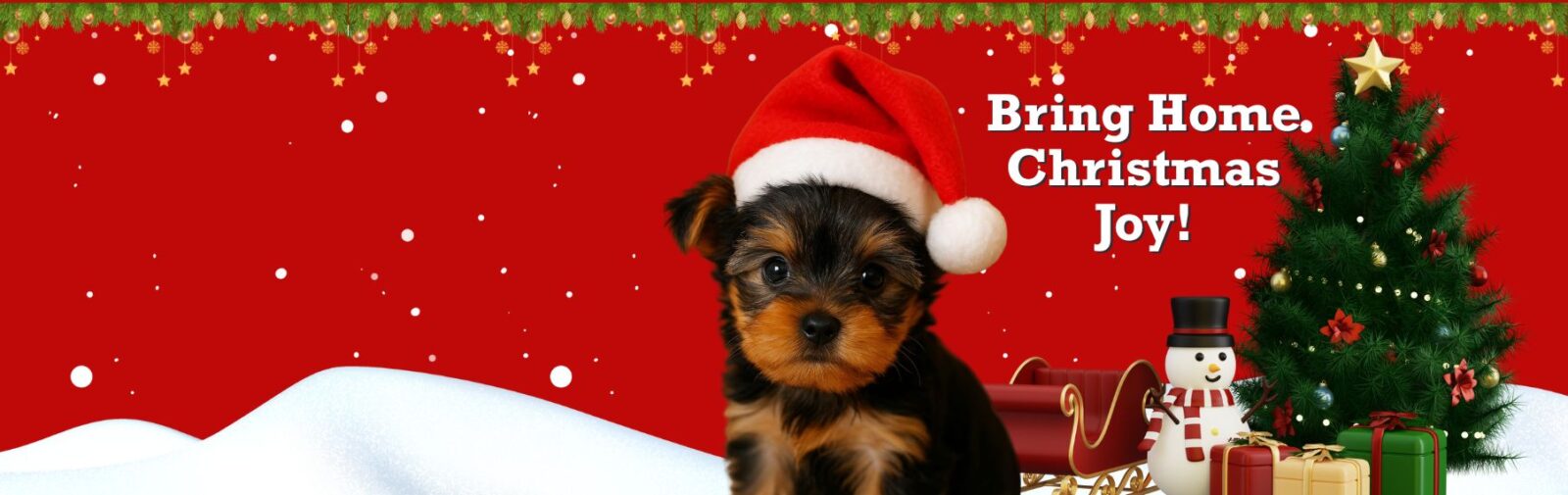 Find Your Perfect Puppy Companion banner