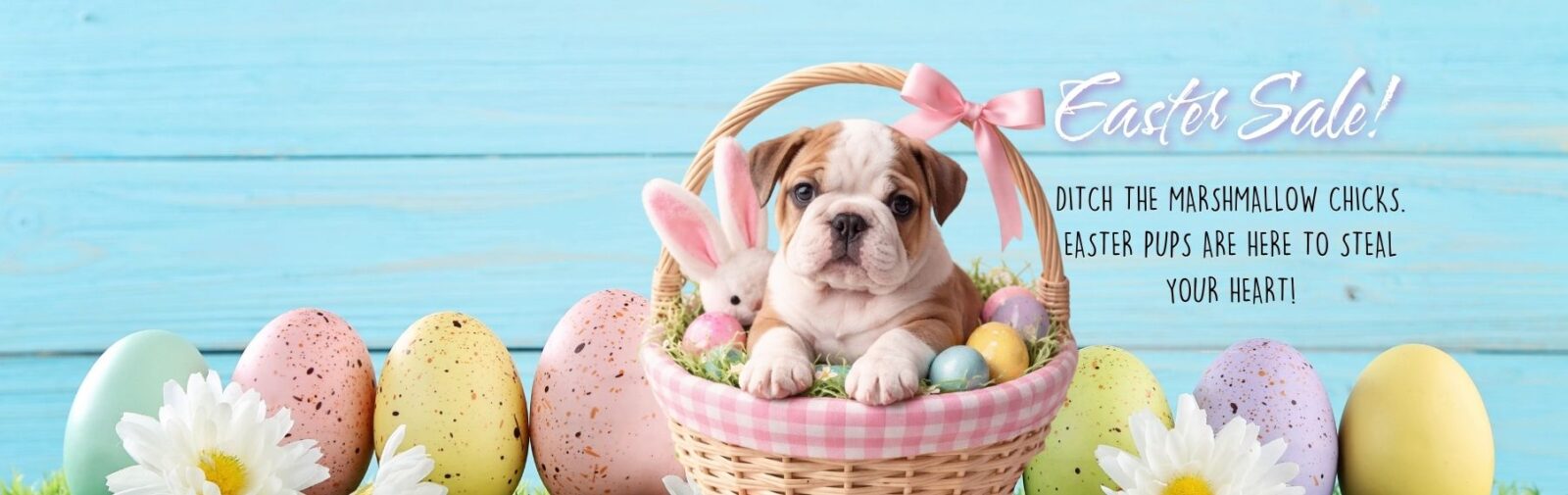 Find Your Perfect Puppy Companion banner