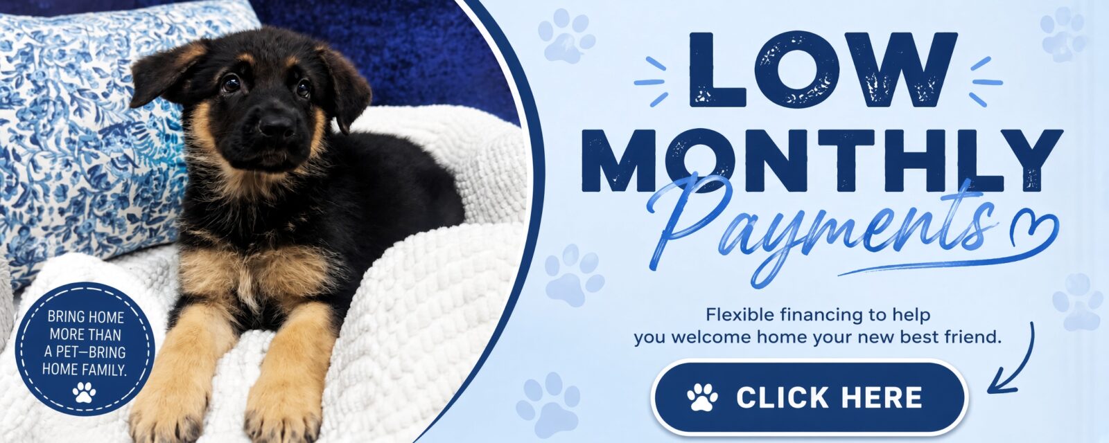 Puppies For Sale Banner