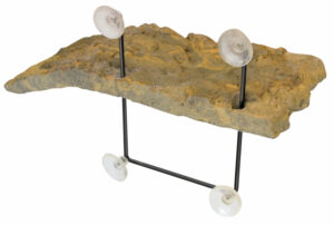 Zoo Med - Zoomed Turtle Dock Small 11x5" - Petland Robinson
