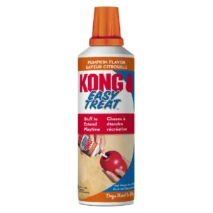 Kong - Kong Easy Treat Pumpkin 8-oz - Petland Robinson