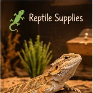 Reptile Supplies