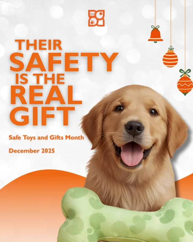 December is Safety Toys & Gifts Month, and it couldn’t be more perfectly timed. Holiday gifting gets exciting, especially when your pup is on the list… but not every toy under the tree is as safe as it looks. A little thought goes a long way, especially when wagging tails are involved! This month is your gentle reminder to choose gifts that protect, enrich, and truly support your dog’s wellbeing. Think durable materials, size-appropriate toys, no loose parts, and designs that encourage healthy play instead of risky chewing. Choose smarter toys, safer materials, and gifts that bring joy and peace of mind. A safe toy isn’t boring. It’s confidence wrapped in a bow. And a happy pup is the best holiday gift of all. 🎁🐾✨

 #SafetyToysAndGiftsMonth #SafePetToys #HolidayPetSafety #PuppySafetyTips #DogToyGuide #PetGiftGuide #HealthyHappyPups #DogParentsOfIG #SafeForPups #SmartPetChoices #PetStoreTips #PuppyCare101 #HolidayWithPets