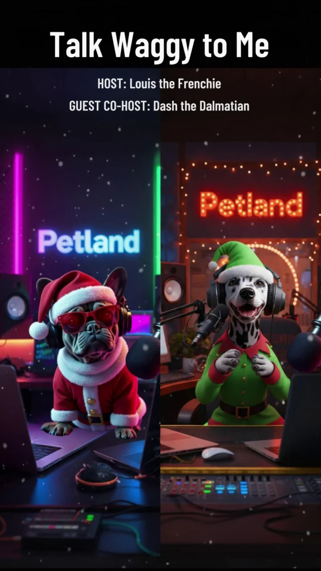 🎄🐾 This Christmas, Louis the Frenchie is back with a very special guest: Dash the Dalmatian! In our festive Talk Waggy To Me episode, we reveal The Wish(bone) List: the real gifts dogs want from Santa. From self-refilling bowls to fireplace photo shoots, and even a Netflix special (Holiday Bloopers: Spotted Edition), nothing is off-limits!

Catch the hilarious banter, snorts, and seasonal mischief that only Louis & Dash can deliver. Perfect for puppy parents, dog lovers, or anyone who needs a laugh this holiday season. 🎅🐶

Don’t miss this festive, tail-wagging holiday episode brought to you by Petland, your trusted source for puppies and dog fun in every season.

#TalkWaggyToMe #Petland #PuppyChristmas #DogPodcast #FrenchieLife #Dalmatian #HolidayDogs #DogHumor #DogLovers #ChristmasPuppies #PetlandPups #Pawcast