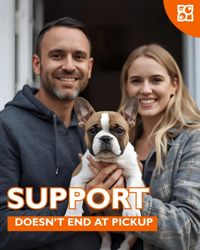 The price of a Petland puppy includes more than the puppy; it includes support.

From nutrition guidance to warranties to first-vet-visit help, you’re backed by people who care long after you walk out the door.

Pet store prices reflect this aftercare… the kind that gives you confidence from day one.
🐾Read why ongoing support is part of the value. https://www.petlandrobinson.com/why-are-petland-puppies-so-expensive/

#PetlandUSA #PuppyCareSupport #NewPuppyJourney #PetlandFamily #PetCareTips #PuppyParents #PetlandExperience