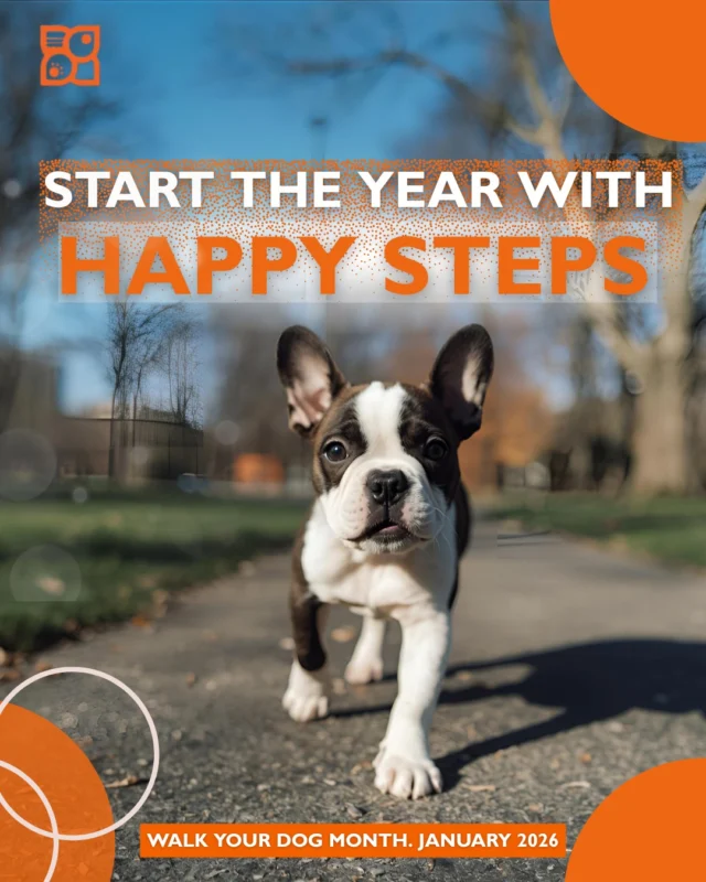 Fresh year, fresh energy, fresh paws on the pavement. 🐶✨
January is Walk Your Dog Month, the perfect way to start the year with extra steps, fresh air, and an eager pup ready to explore. For power-walker pups, stop-and-sniff scouts, or “let’s take it slow” sweethearts alike, daily walks give our furry friends exactly what they need: movement, mental stimulation, and a chance to experience the world beyond the front door.

Even a simple stroll can lift their mood, support training, build healthy habits, and give them a routine they genuinely enjoy. And honestly? Watching them trot around like they’re on a tiny mission makes every walk worth it.

So start the year with easy outings, lighthearted moments, and little adventures your pup will love.

Fresh air + fresh steps = a great start to 2026. 🎉🐾

#WalkYourDogMonth #DogParents #PupLife #DogWalks #HealthyPets #PetWellness #PetStoreLove #NewYearPets #ActiveDogs
