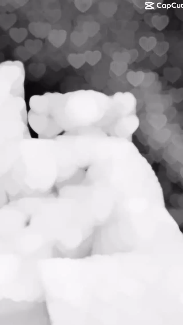 The calm before the storm 💙🥶

#Pittsburgh #petlandrobinson #cutepuppy #puppies