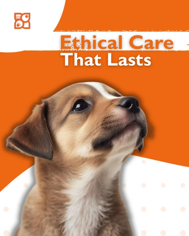 Ethical responsibility doesn’t stop when a puppy goes home.

From health warranties and veterinary guidance to ongoing education and support, responsible pet care is about long-term well-being, not quick transactions. When puppies are placed with care, transparency, and accountability, everyone benefits: the dog, the family, and the future.

If you’re navigating the ethical side of puppy ownership, this guide offers clarity and peace of mind.
👉 Read the full blog here: https://www.petlandrobinson.com/the-ethical-and-welfare-implications-of-buying-from-petland-explained/

#PetWellbeing #EthicalPuppyCare #PetlandPets #ResponsibleOwnership #DogHealthMatters #PetSupport #PuppyCareEducation