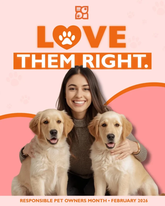 Love isn’t just cute moments and cozy cuddles.
Real love is how we show up for them. Every single day.

February is Responsible Pet Owners Month, and it’s a reminder that loving your pup means more than affection. It means choosing the right nutrition, committing to training, keeping up with vet care, building healthy routines, and learning what your dog truly needs as they grow.

To love them right is to think long-term. It’s understanding that responsibility isn’t restrictive. It’s what allows dogs to feel safe, confident, and cared for. It’s asking questions, staying informed, and doing your best, even when it’s not the easy option.

You don’t have to be perfect to be a great pet parent. 
You just have to be present, intentional, and willing to learn.

This month, we’re celebrating the kind of love that lasts.
The kind that’s thoughtful. Consistent. Informed.

The kind that loves them right. 🐾💛

#LoveThemRight #ResponsiblePetOwnersMonth #PetParentLife #PuppyCare #DogWellness #PetExperts #HealthyPets #DogParents #PetEducation