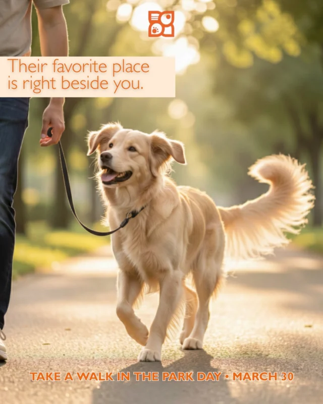 Sometimes the best plans are the simplest ones.
A walk.
A leash.
Your dog right beside you.

For them, it’s not about how far you go or where you end up. It’s the rhythm of your steps, the shared pauses, the way they glance back just to make sure you’re still there. Walks are where connection happens. Where energy settles, trust deepens, and joy shows up without trying.

Take a Walk in the Park Day is a reminder that quality time doesn’t have to be complicated. Showing up is enough. Being present is everything. And for your dog, the best part of the walk has always been you.

So grab the leash, head outside, and let them lead the way… right beside you. 🐾🌿

#TakeAWalkInTheParkDay #DogWalks #LifeWithDogs #DogMomLife #DogDadLife
#DailyWalks #DogJoy #PetBond #WalkTogether