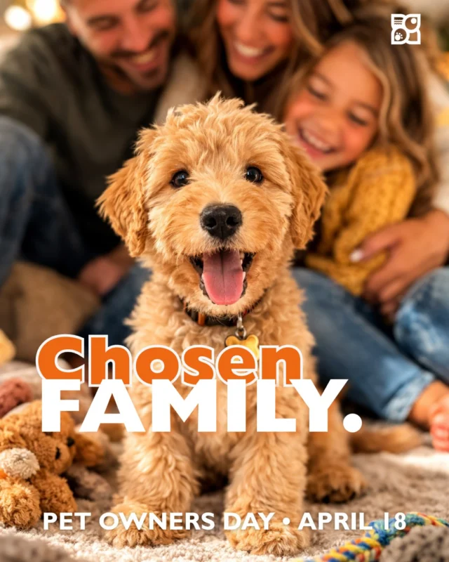 If you live with a dog, you already know the truth:
They run the house.

Not in a dramatic way. In the quiet ways that sneak up on you.

They claim the sunny spot on the floor.
They know exactly when dinner should happen.
They somehow become part of every routine: mornings, evenings, lazy Sundays, late-night snacks.

Somewhere along the way, they stop feeling like “the pet.”
They become family.

Pet Owners Day celebrates the people who choose to open their homes and their lives to animals. The walks in the rain. The vet visits. The muddy paws. The responsibility that comes with loving a creature who depends on you.

But every dog parent knows the other side of that story too.

The greeting at the door that feels like you’ve been gone for years.
The quiet companionship during hard days.
The joy that somehow fills an entire room the moment a tail starts wagging.

You take care of them.
And somehow, they take care of you too.

Today is for the humans who show up every day for their pets… and the dogs who make that commitment one of the best decisions we ever make.

Happy Pet Owners Day. 🐾

#PetOwnersDay #DogParents #LifeWithDogs
#DogLove #PetFamily #DogConnection #PuppyLife